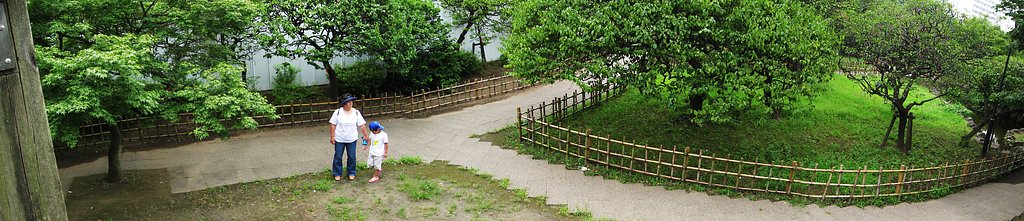 【淡】く遠い思い出