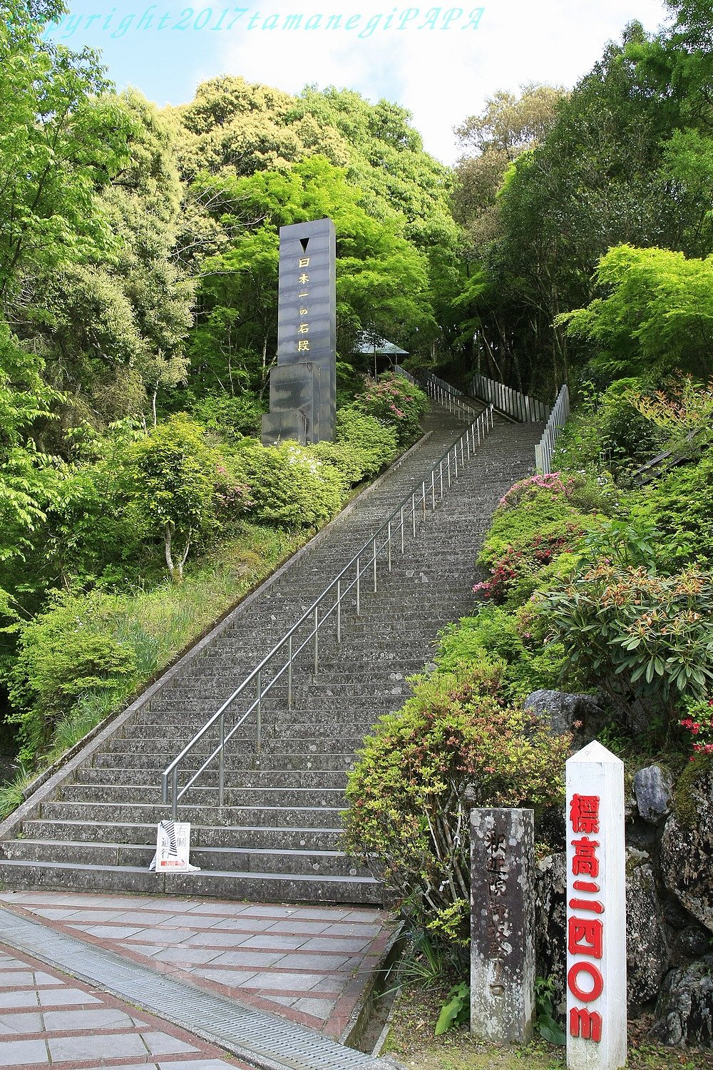 さあ、階段は何段あるでしょうか？