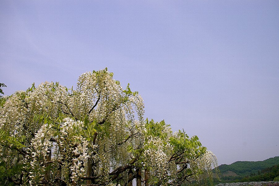 青空