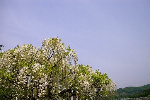 青空