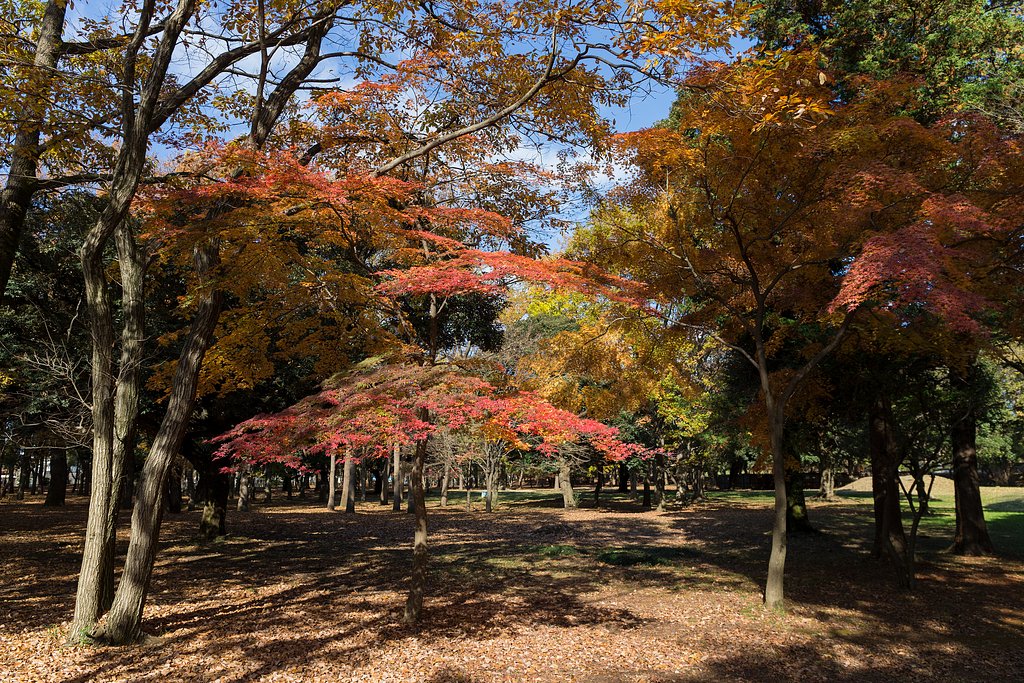 EF24-70mm F4 L IS