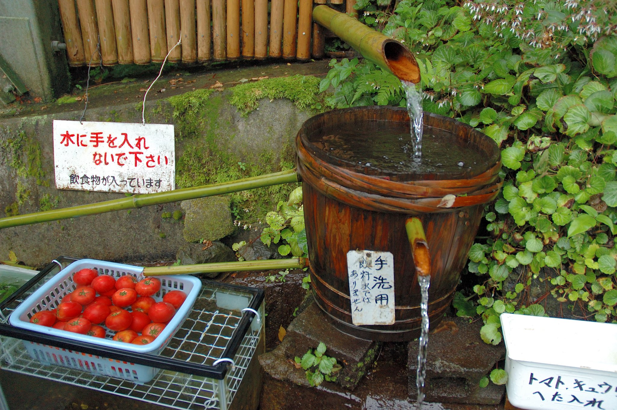 懲りずに白糸の滝（野菜売り場）