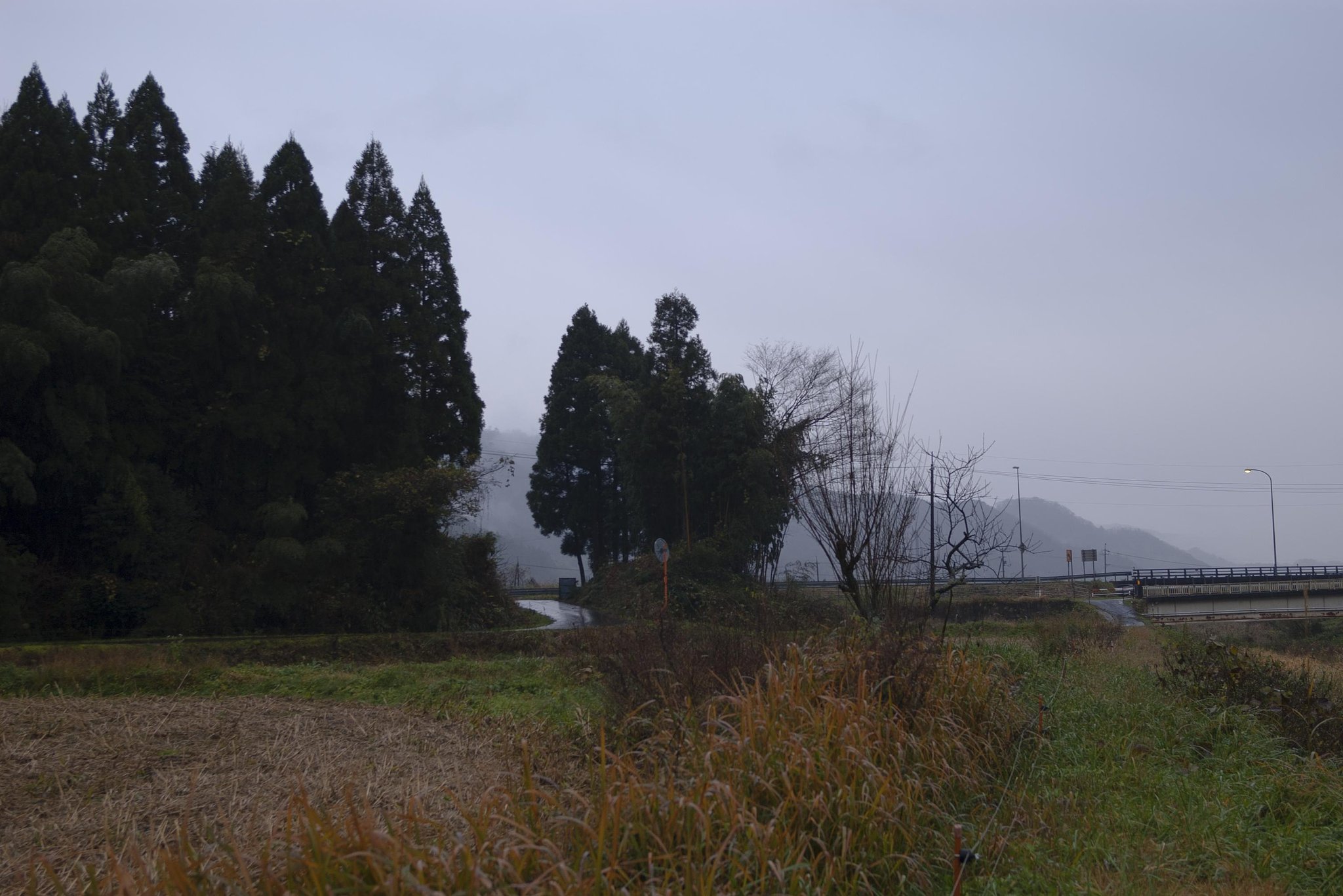 雨降りの朝！