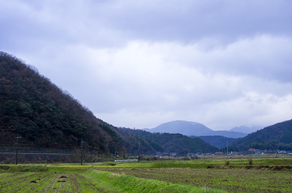 曇り午後雨もパラパラ！
