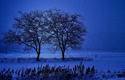 雪降り　３