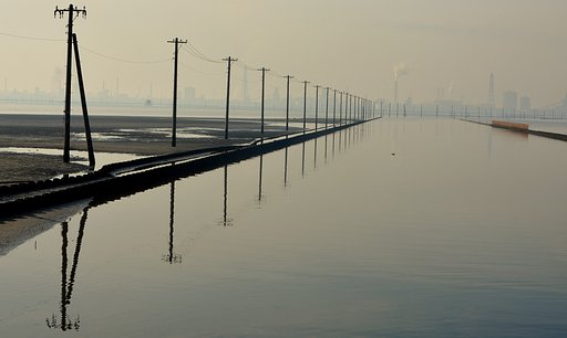 海に向かって立つ電柱