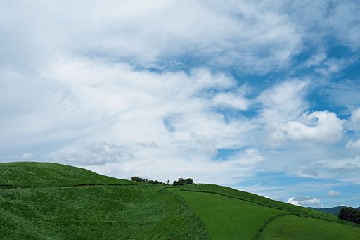 Xpro1
