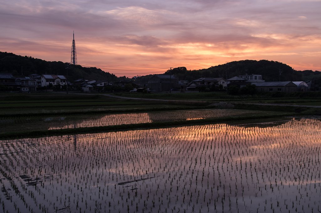 夜明け前Ⅱ_夏至前日