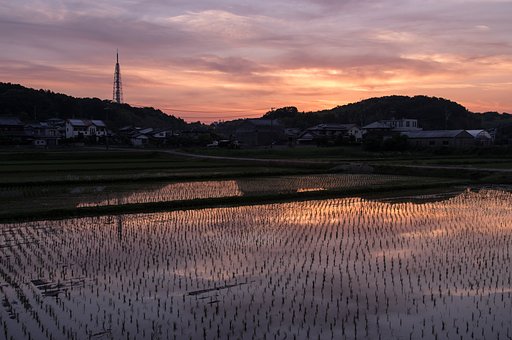 夜明け前Ⅱ_夏至前日