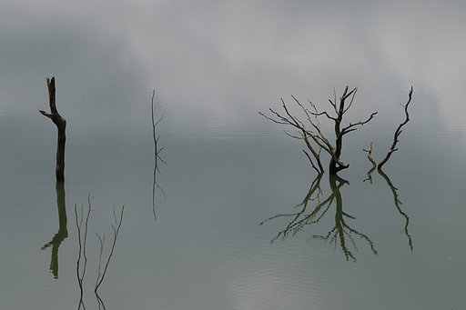 静かに映る