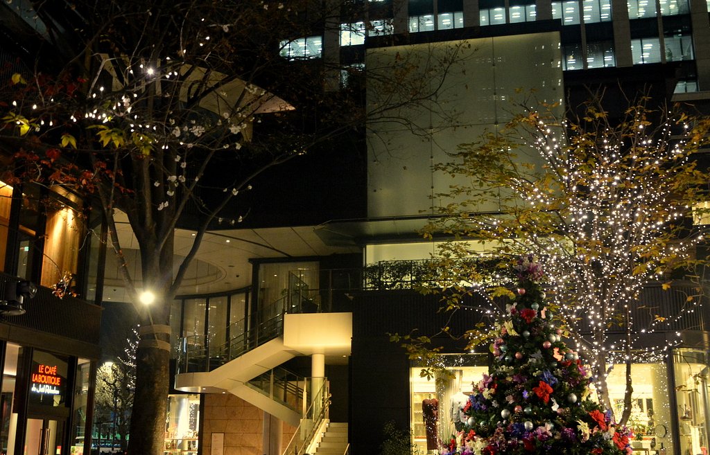 クリスマスツリーと桜と紅葉