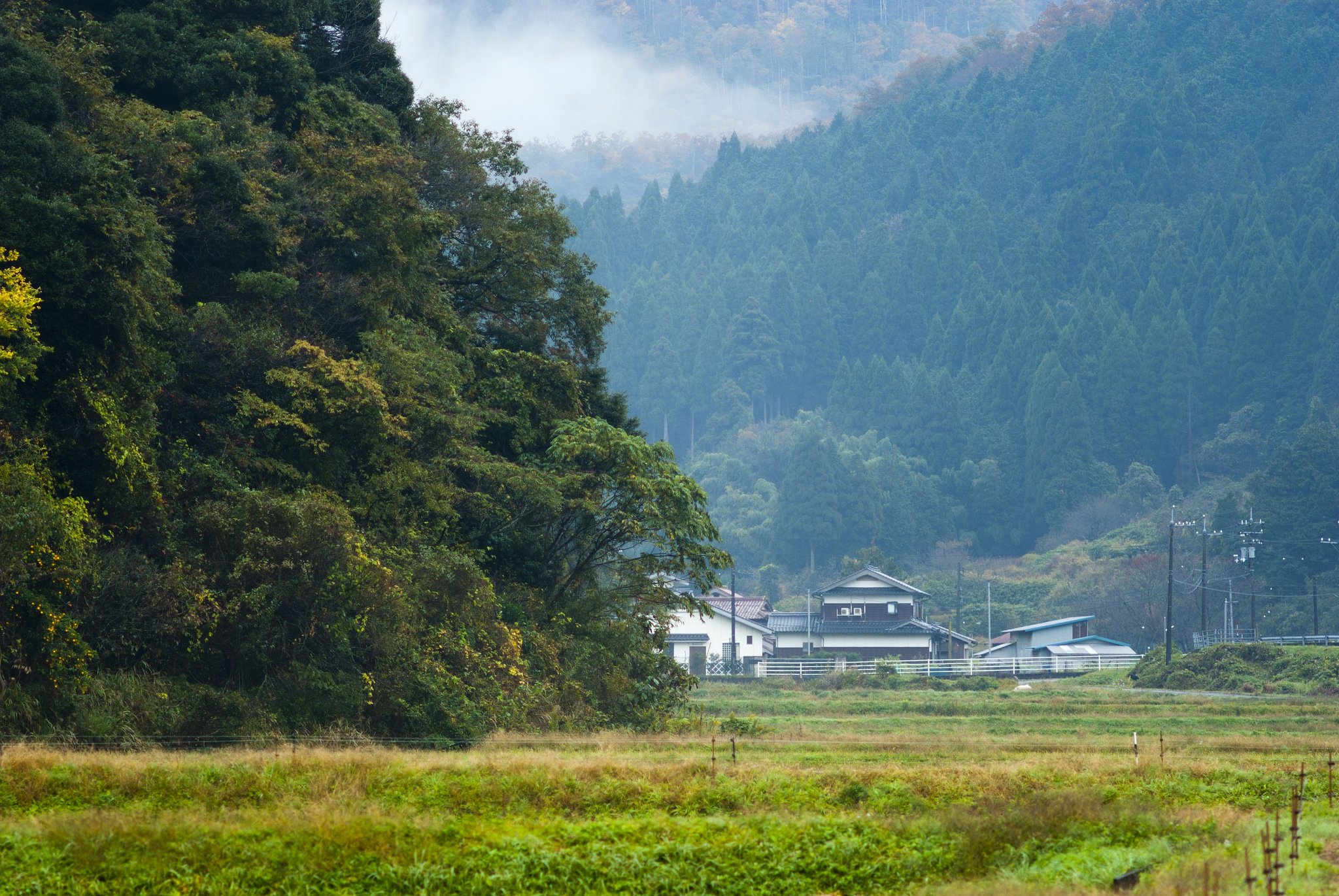 時折小雨が・・。
