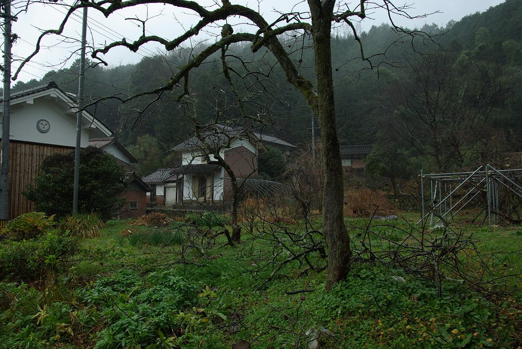 ムラニシ「撮ったままの画像」