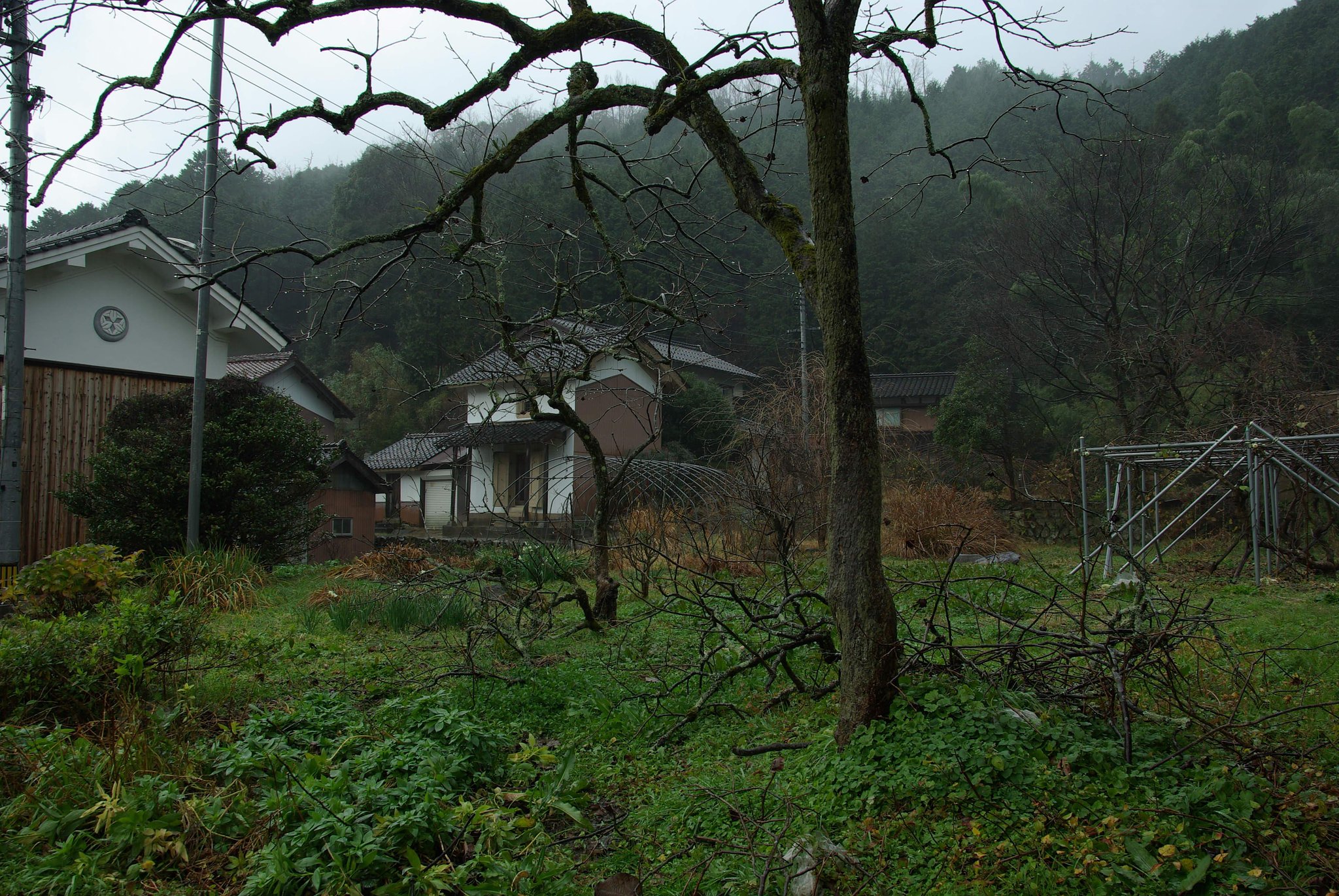 ムラニシ「撮ったままの画像」