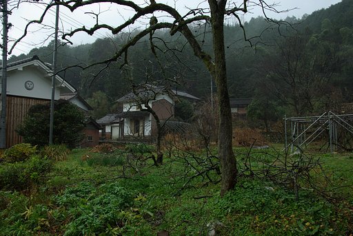 ムラニシ「撮ったままの画像」