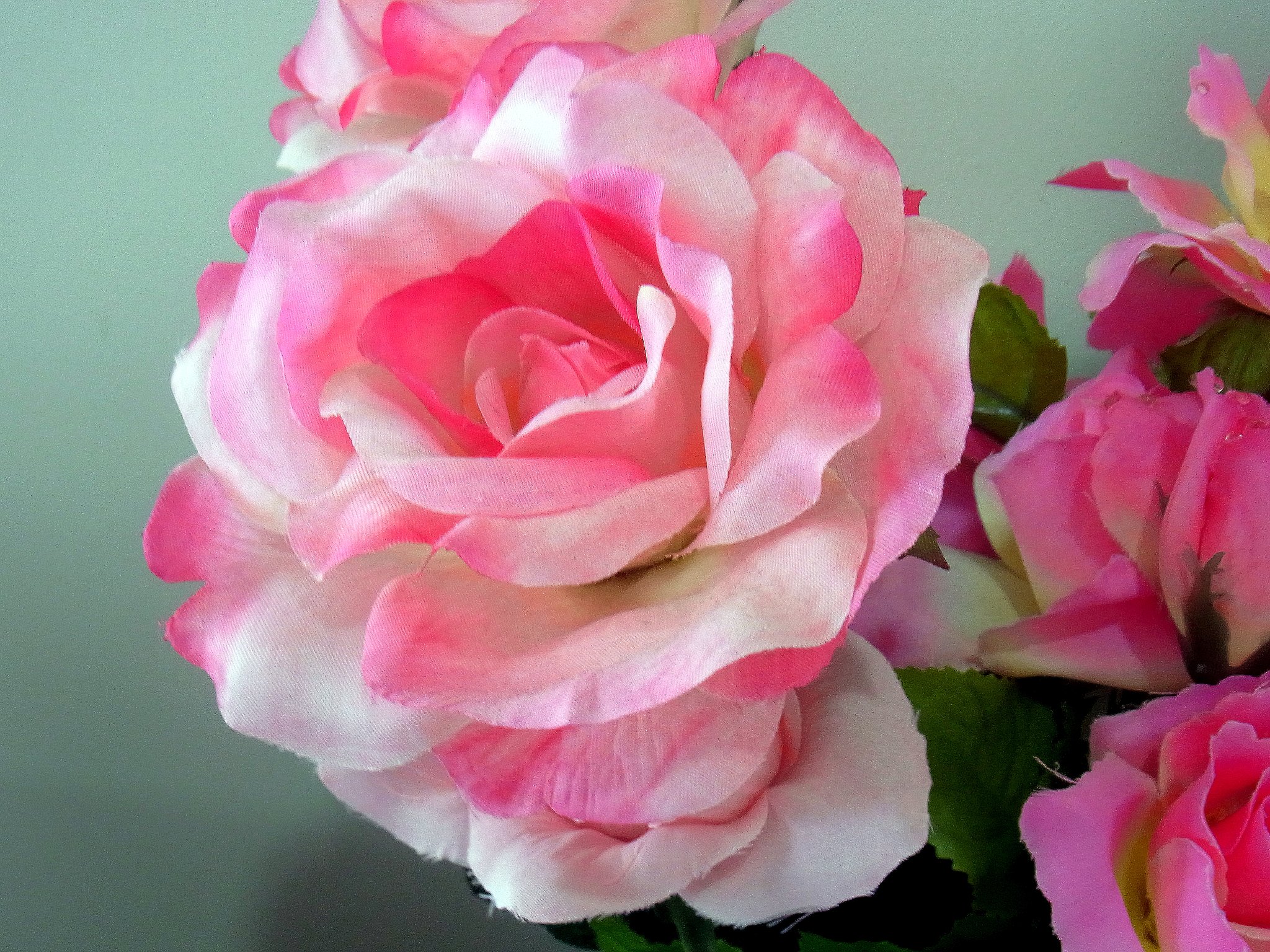 薔薇のUP