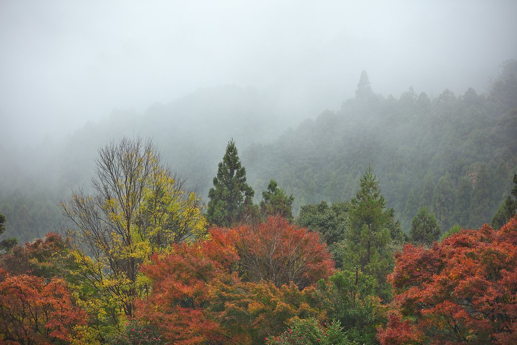 EF70-200 F2.8L IS Ⅱ