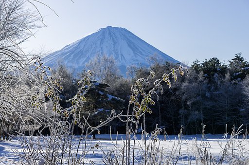 凍える朝