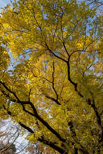 EF24-70mm F4 L IS