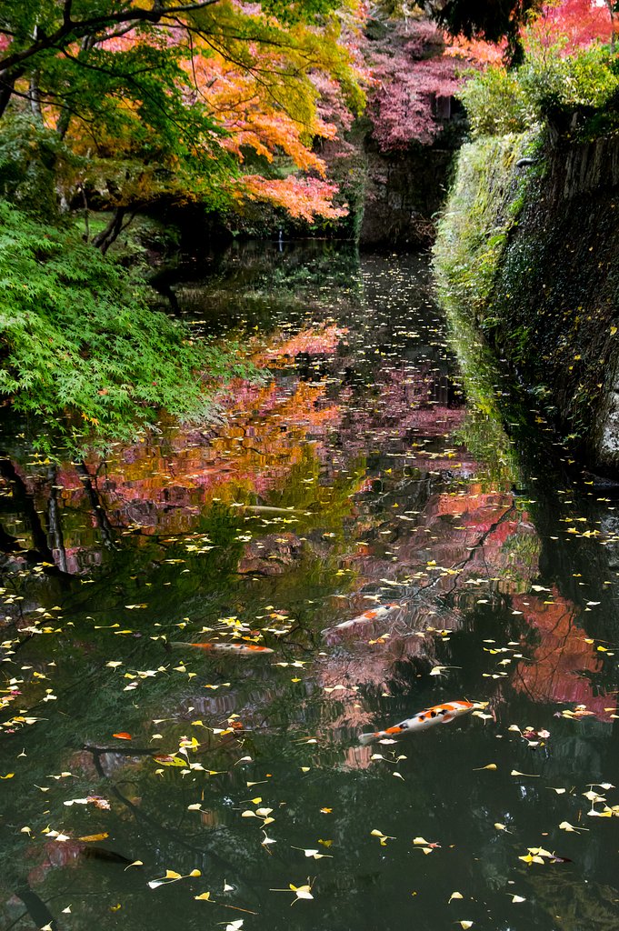 錦絵図