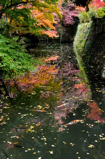 錦絵図