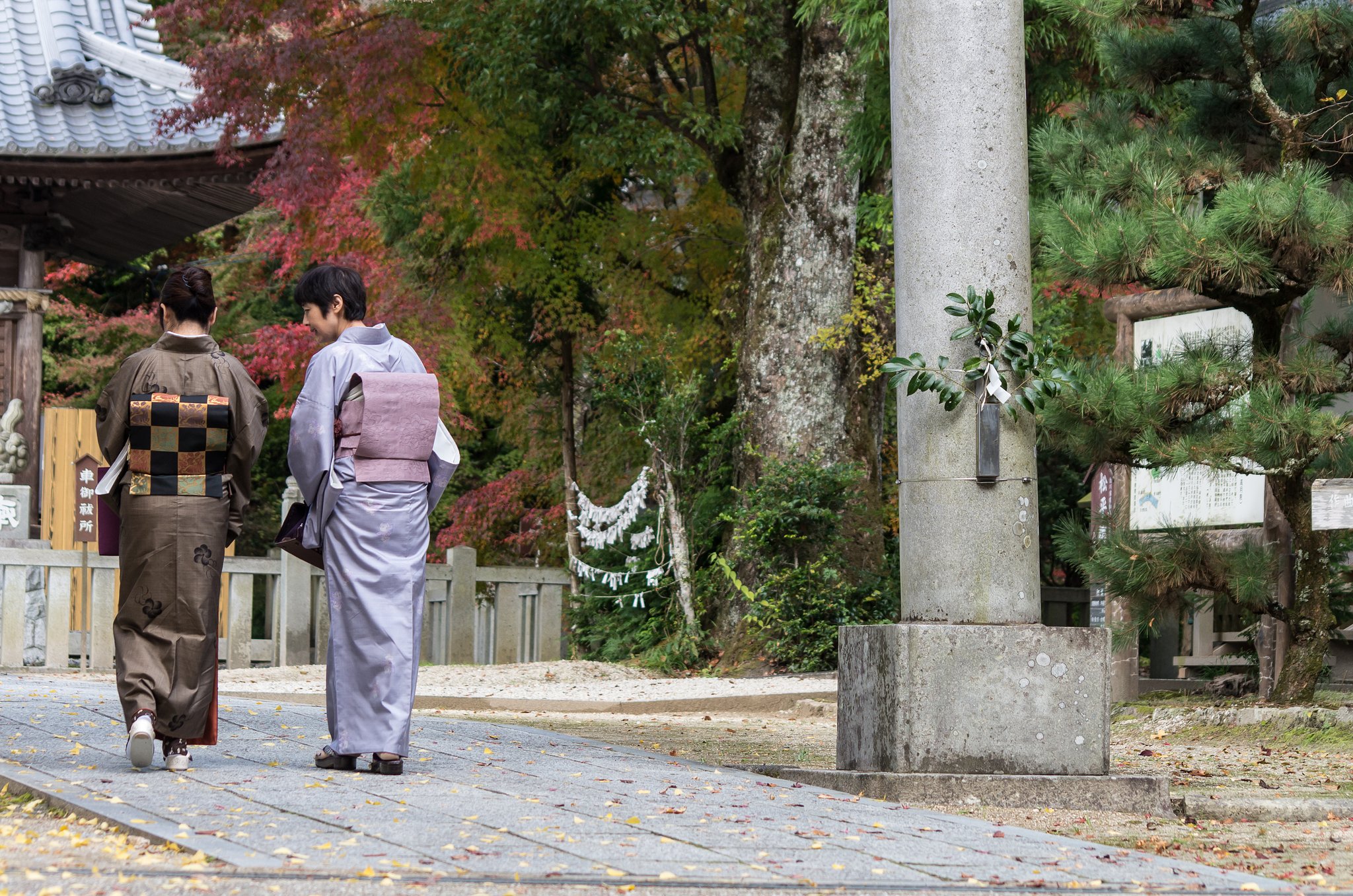 日本の秋