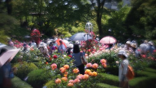 古川庭園にて