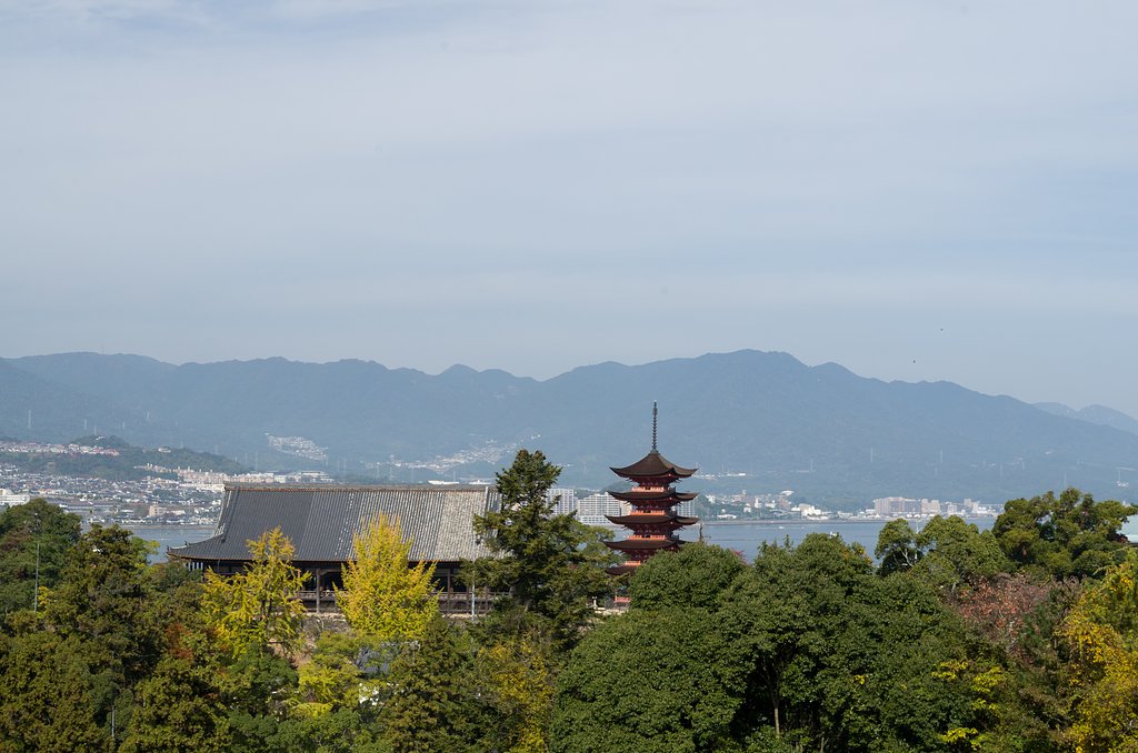 SIGMA 17-50mm F2.8 EX DC HSM 