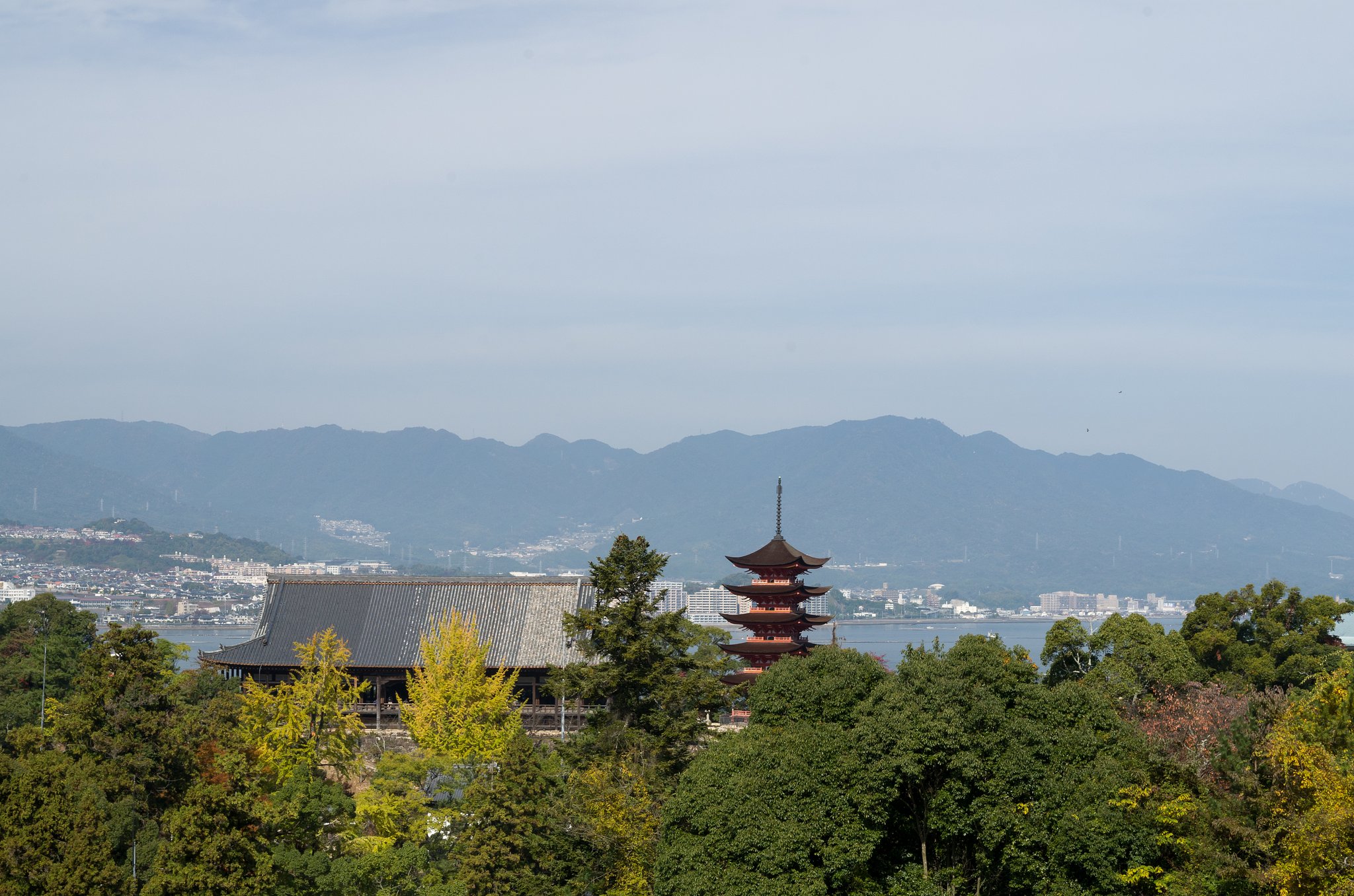SIGMA 17-50mm F2.8 EX DC HSM 