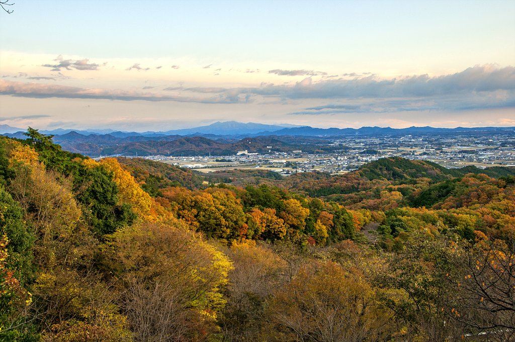 里山の彩