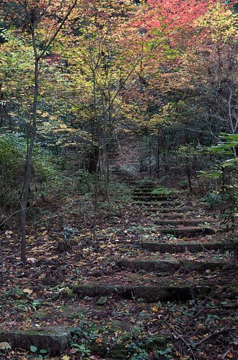 登山道