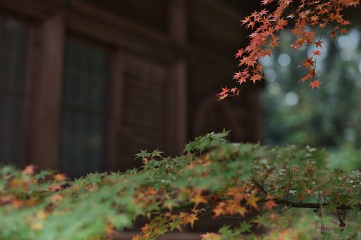 EF35 F1.4LⅡ