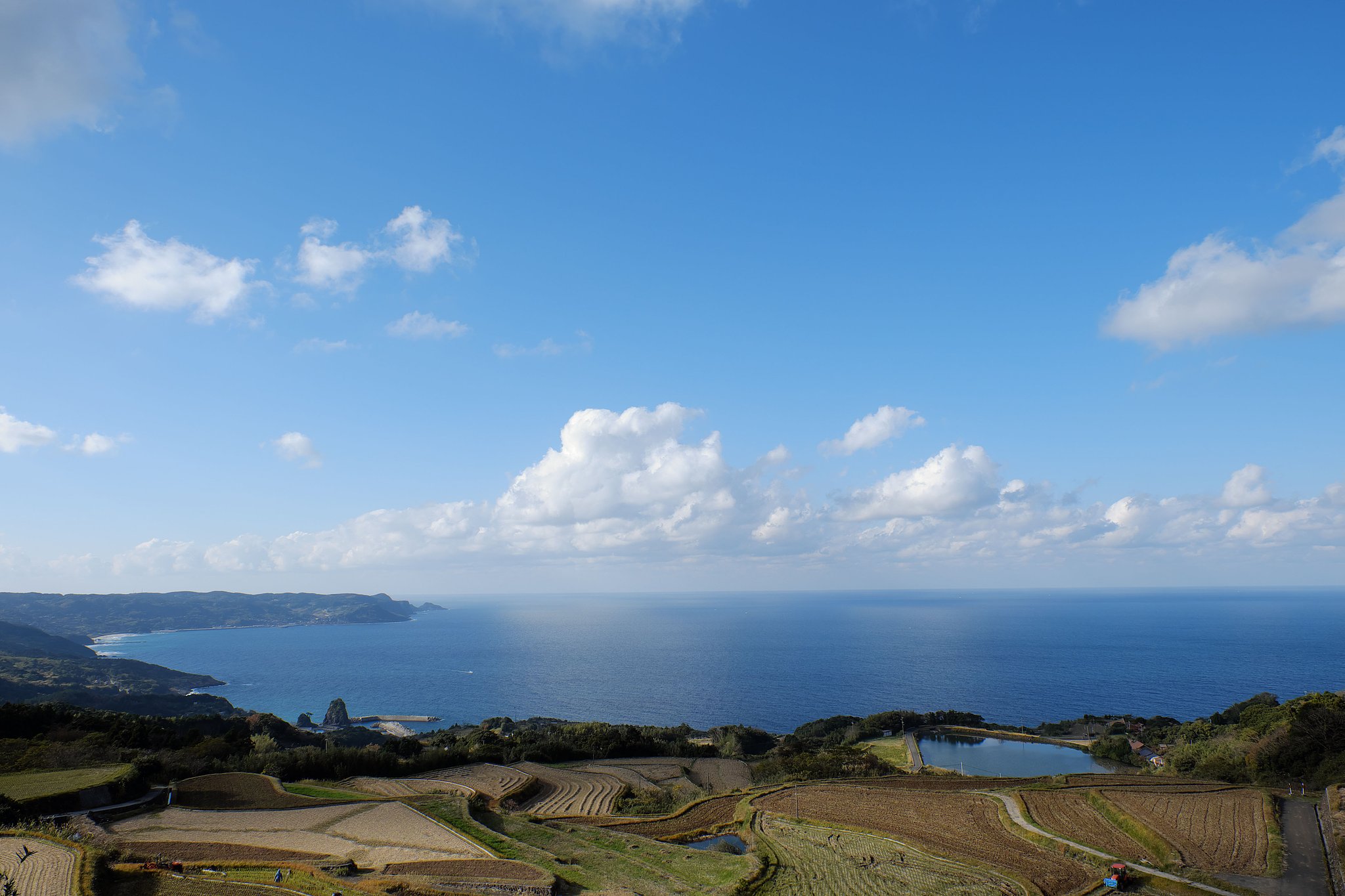日本海