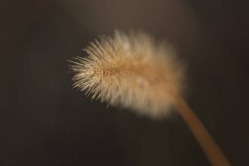 【形】今年の後姿