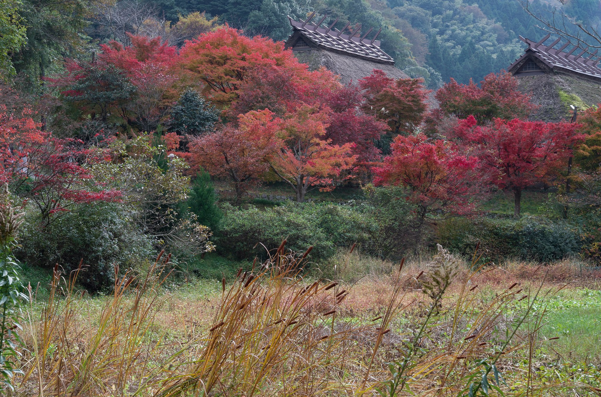 山里