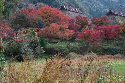 山里