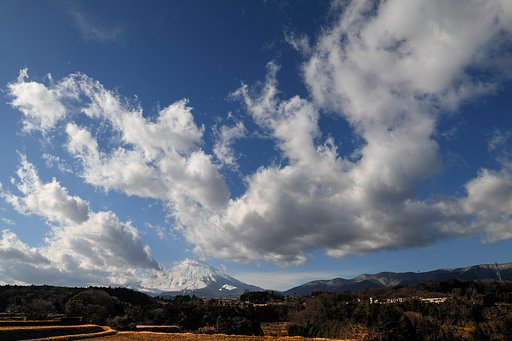 この雲に魅せられて