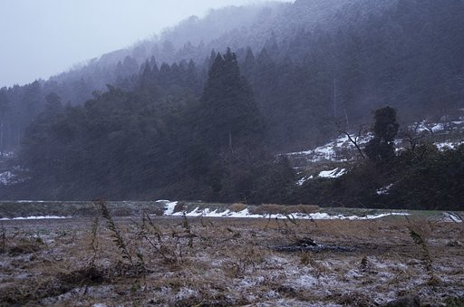 ボタン雪の吹雪！