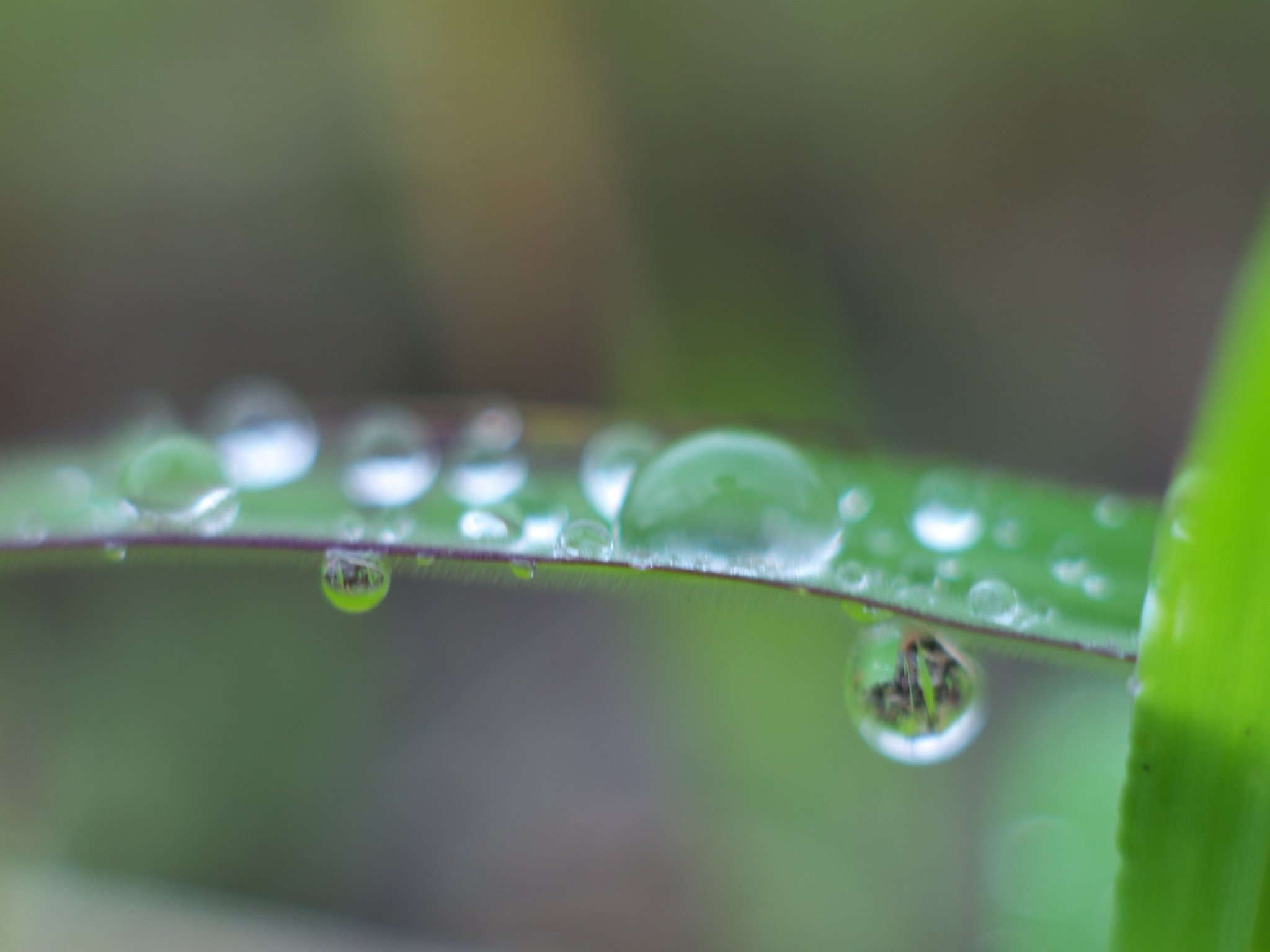 水滴