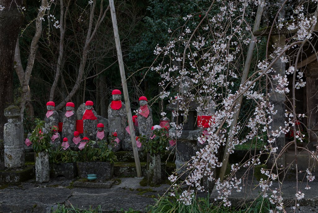 花見