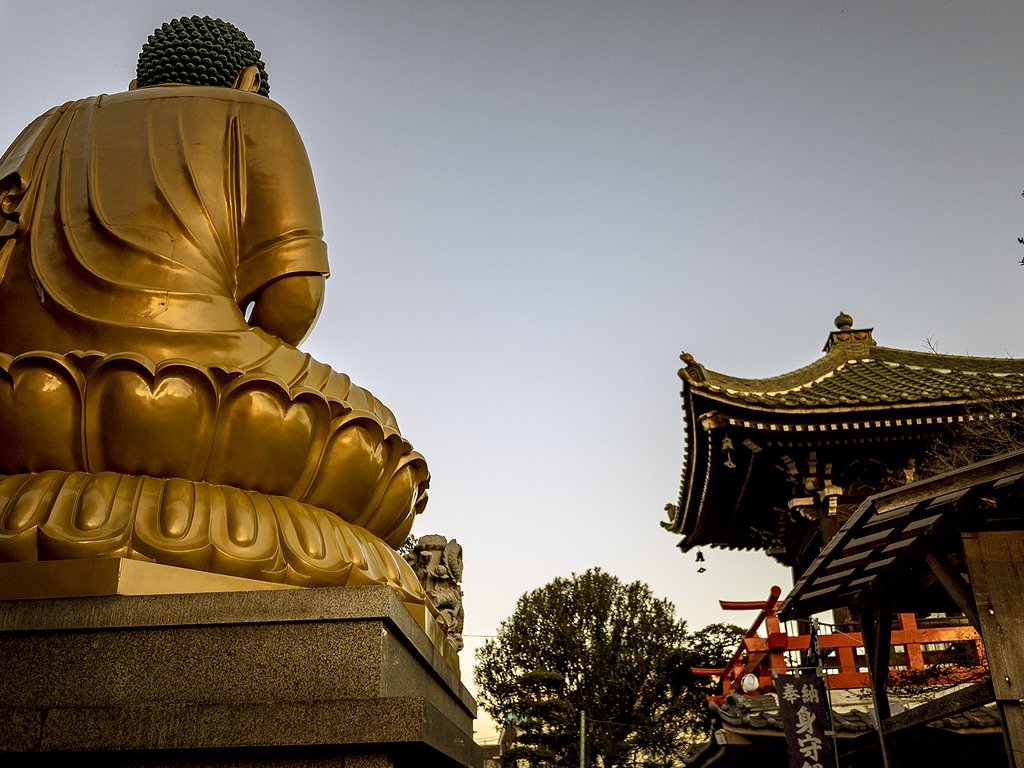 大仏の背中