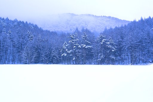 雪の御射鹿池