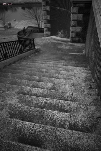 Otus 28mm F1.4 ZF2