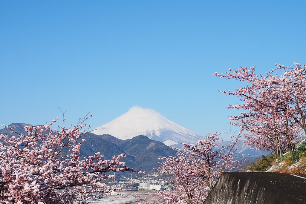 日本の美