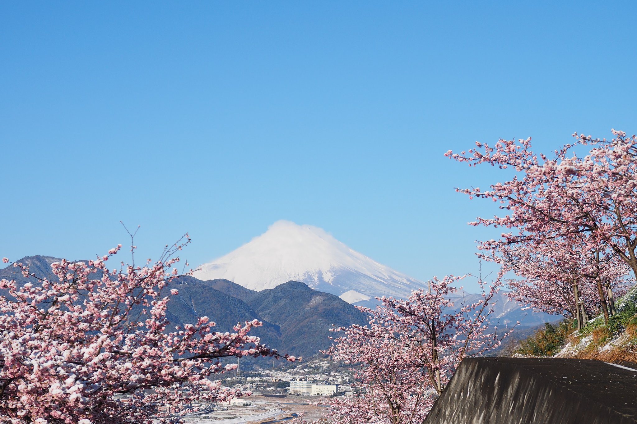 日本の美