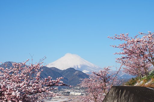 日本の美