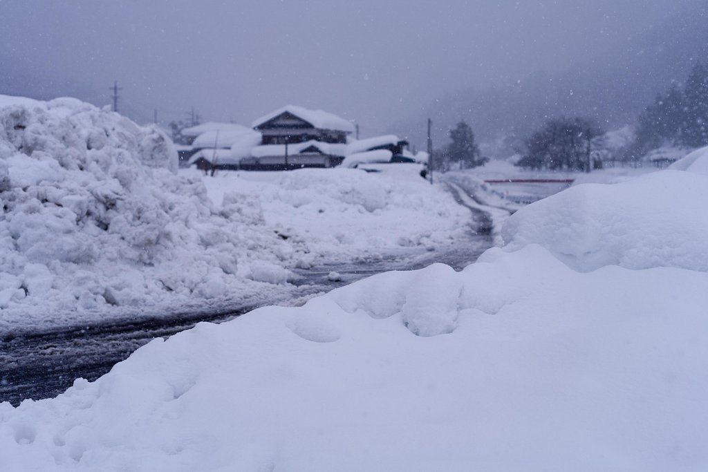 今日も雪が！