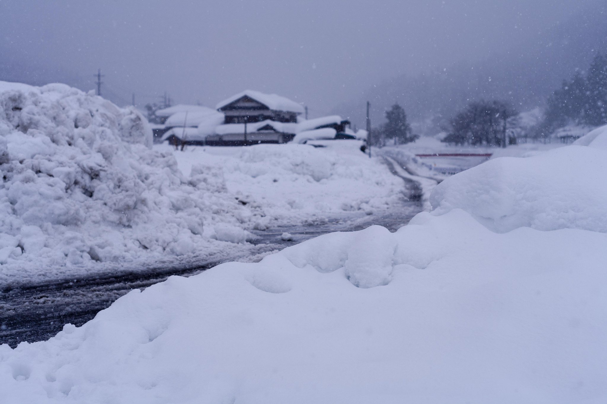 今日も雪が！