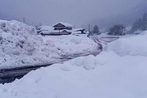 今日も雪が！