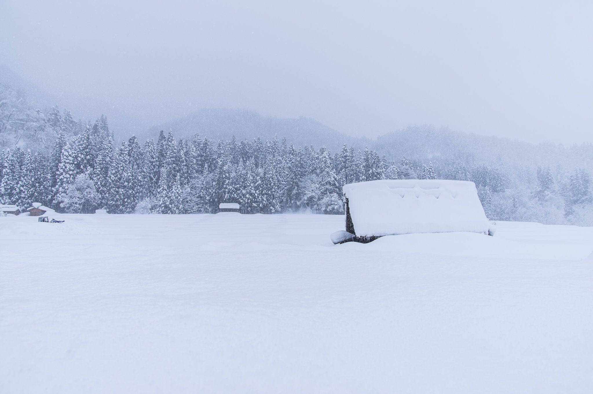 雪河を往く